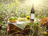 Piknik z jabłkami i butelką domowego wina. Idealny przepis na wino z jabłek 10l.