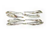 Suszone szprotki ułożone w rzędach. Czy szprotki są zdrowe? Tak, to bogactwo kwasów omega-3 i białka.