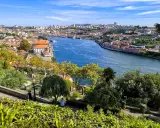 Widok na rzekę Douro i malownicze **Porto i okolice**. W oddali widać miasto z charakterystyczną architekturą, a na pierwszym planie zielony park z odpoczywającymi ludźmi.