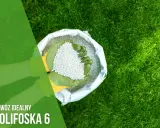 Ręce w zielonych rękawiczkach trzymają nawóz Polifoska 6 z worka, gotowe do użyźnienia trawnika.