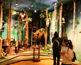 Muzeum Łowiectwa i Jeździectwa: Łazienki Wystawy, bilety, dojazd