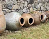 Antiguas ánforas de vino yacen en la hierba, algunas cubiertas de musgo, contra un muro de piedra.