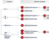 Schemat pokazuje stadia raka szyjki macicy i metody leczenia, od chirurgii po radioterapię i leczenie systemowe. Rokowania zależą od stadium.