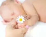 Un neonato dorme serenamente, mentre una mano adulta tiene delicatamente un fiore di camomilla, simbolo di dolcezza e cura per bambini.