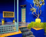 Un jardin aux murs bleu klein et bleu majorelle, avec une porte jaune et verte, des plantes luxuriantes et des carreaux colorés.