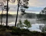 Tidig morgon vid en sjö i Glaskogen, dimma sveper över vattnet. En perfekt plats för glaskogen vandring.