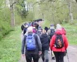 En stor grupp människor på en nattvandring Kinnekulle, vandrar längs en grusväg genom en lummig skog.