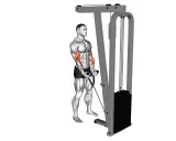 Mann macht Hammer Curls am Kabelzug, um seine Bizeps zu trainieren.