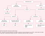 Schemat diagnostyczny torbieli nerek. Rozróżnia torbiele pojedyncze i mnogie, powiększone i niepowiększone, z objawami lub bez, prowadząc do rozpoznania np. torbielowatości nerek.