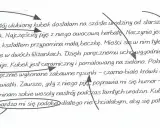 Opis siebie klasa 4: mój ulubiony zielony kubek z krówkami i kwiatkami, przypomina beczkę, idealny na herbatę.
