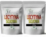 Dwie saszetki z lecytyną sojową Forest Vitamin, każda po 250g. Produkt spożywczy stworzony przez naturę.