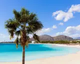Traumhafter Blick auf den Can Picafort Strand mit Palmen, türkisblauem Wasser und Bergen im Hintergrund. Ein perfekter Urlaubstag.