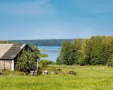 Działka siedliskowa nad jeziorem, z drewnianą stodołą, zieloną łąką i lasem w tle.