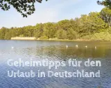 Idyllischer See mit Bäumen und Schwänen. Ein Geheimtipp für den Kurztrip Deutschland.