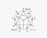 Schema dell'enneagramma con numeri da 1 a 9, frecce blu e linee rosse. Il numero 4 è associato al "Cuore".