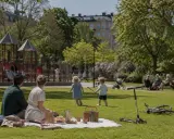 Familj picknickar i parken medan barnen leker. En perfekt dag för aktiviteter i Lund för vuxna och barn.