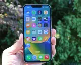 Mano sujetando un iPhone 14 con pantalla llena de iconos de apps, con árboles verdes desenfocados de fondo.