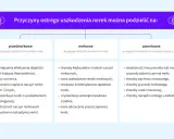 Schemat przyczyn ostrego uszkodzenia nerek (AKI): przednerkowe, nerkowe i zanerkowe.