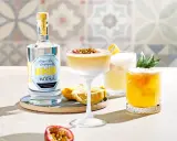 Erfrischender Vodka Sour mit Passionsfrucht und Zitrone, daneben ein weiterer Cocktail mit Ananas. Eine Flasche Zitronen-Wodka steht bereit.