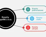 Diagram przedstawia koszty spółki z o.o.: jednorazowe, stałe i ukryte.