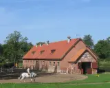 Stadniny koni w Polsce: Gdzie historia spotyka jeździecką pasję?