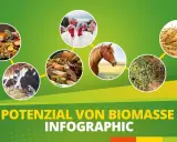 Biomasse Beispiele: Kühe, Pferde, Truthähne, Essensreste, Pflanzen und Stroh zeigen das Potenzial von Biomasse.