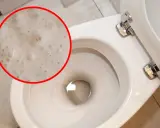 Piana w toalecie, która może świadczyć o działaniu drożdży do szamba.