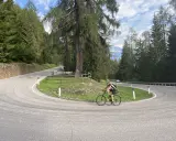 Ciclista su strada tortuosa, immersa nel verde del **campo Carlo Magno**, con alberi secolari e montagne sullo sfondo.