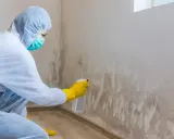 Persona con traje protector y guantes amarillos aplica spray a pared con moho, buscando remedios caseros para quitar el moho de las paredes.