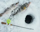 Dwie ryby na lodzie, wędka i przerębel. Ciekawe, jakie cisnienie dobre na ryby zimą?