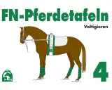 Braunes Pferd mit Voltigiergurt und Bandagen, bereit für Voltigieren Figuren. FN-Pferdetafeln 4.