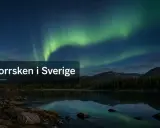 Grön aurora dansar över en spegelblank sjö i Sverige.