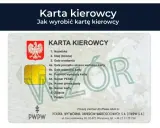 Wniosek o kartę kierowcy. Widok karty kierowcy z danymi osobowymi, numerem PESEL i numerem prawa jazdy.