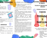 Folleto informativo sobre el condón femenino, explicando qué es, su efectividad, ventajas, desventajas y cómo usarlo.