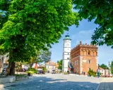 Rynek w Sandomierzu z ratuszem i wieżą zegarową, otoczony drzewami i kamienicami.