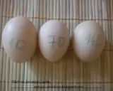 Trzy jajka z oznaczeniami 1D, 7D i 14D, pokazujące, jak sprawdzić czy jajko jest dobre.