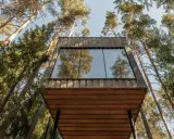 Ett modernt **wood hotel** i en svensk skog, med stora fönster som speglar träden.