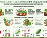 Marchew i cebula to duet idealny. Wzajemna ochrona przed szkodnikami to klucz do sukcesu w uprawie współrzędnej.