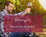 Mann im karierten Hemd hält Weinglas in Weinberg. Text: "Weinwissen: Was ist drin im Wein?" - die wichtigsten wein zutaten.