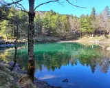 Il lago delle lame, con le sue acque smeraldine, riflette la foresta e il cielo azzurro. Un tronco d'albero in primo piano aggiunge profondità.
