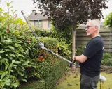 Un homme utilise un taille-haie pour tailler une haie verte et luxuriante, parfaite pour savoir quand tailler les haies.