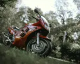 Czerwony motocykl Suzuki RF 900, zaparkowany na trawie wśród drzew. Idealny do sprawdzenia jego danych technicznych.