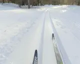 Färska skidspår i snön, redo för skidåkning i Luleå. Solen lyser genom träden och skapar ett vackert vinterlandskap.