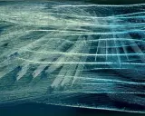 Abstract painting with sweeping white and blue lines on a dark background.