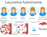 Leucemia fulminante: febbre, stanchezza, anemia, malessere, lividi. Globuli bianchi disfunzionali. Terapie: trasfusioni, chemioterapia.
