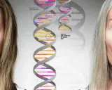 Mitad de rostro de joven y anciana, con cadenas de ADN en el centro. Los genes se heredan, mostrando la continuidad a través del tiempo.
