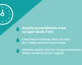 Zwykłe przeziębienie trwa około 7 dni, ale czas jego trwania zależy od dbania o siebie. Czasem objawy mogą utrzymywać się dłużej.