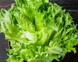 Une belle salade batavia, fraîche et croquante, prête à être dégustée. Ses feuilles vertes vives promettent une texture légère et une saveur délicate.