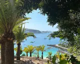 Palmeras en primer plano, vista de una bahía azul con barcos y una playa, ideal para unas vacaciones con niños en la playa.