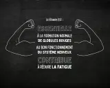 La vitamine B12, essentielle pour les globules rouges et le système nerveux, contribue à réduire la fatigue. Un effet immédiat pour plus d'énergie !